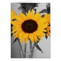 Hope Sunflower Cards