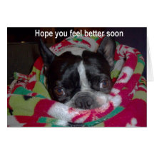 Hope you feel better soon greeting cards