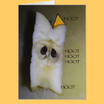 Hope you have a hoot on your birthday! cards