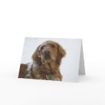 Hope Your Holidays Are Golden Cards