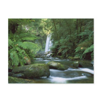 Hopetoun Falls Australia- Post Card
