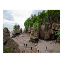 Hopewell Rocks Low Tide Canada Postcard postcards