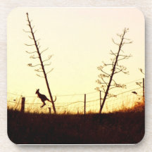 Hopping into the setting sun drink coaster