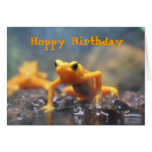 Hoppy Birthday Poison Dart Frog Card