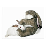Hoppy Easter bunnies Postcards