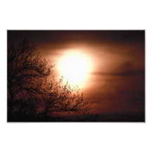 Horizon de brique réfractaire impressions photographiques