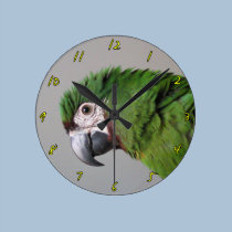 Horloge grave de photographie d'ara horloges murales