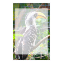 hornbill on perch in green plants stationery design