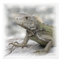 Horned Iguana Invitation