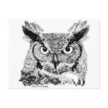 Horned Owl Post Card