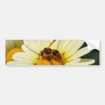 Hornet Bumper Sticker