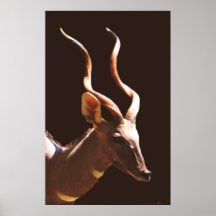 Horns Poster