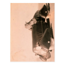 Horny Toad Car Postcards