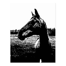 horse2bw post cards