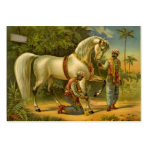 Horse 2012 Calendar Business Card