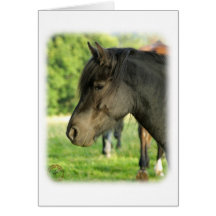 Horse 9A53D-09 Greeting Cards