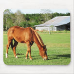 horse and barn mouse pad