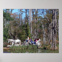 Horse and Buggy at Cypress Gardens Print