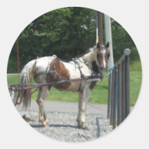 Horse and Buggy Sticker