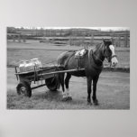 Horse and Cart Poster
