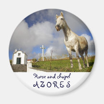 Horse and chapel fridge magnet