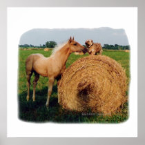 Horse and Dog Country Meeting Poster