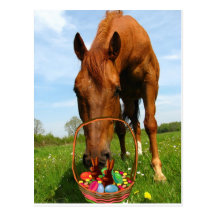 Horse and Easter Basket Postcard