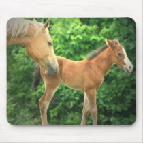 Horse and Foal on a Mouse Pad mousepads