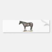 Horse Art Bumper Sticker