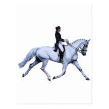 Horse Art EXTREME DRESSAGE Post Cards