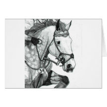 Horse Art EXTREME EVENTING Greeting Cards