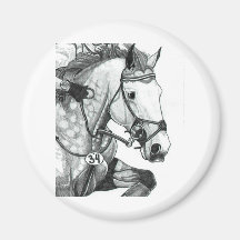 Horse Art EXTREME EVENTING Magnets
