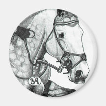 Horse Art EXTREME EVENTING Magnets