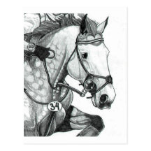 Horse Art EXTREME EVENTING Post Cards