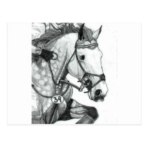 Horse Art EXTREME EVENTING Post Cards