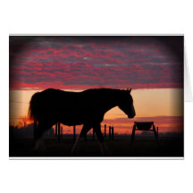 Horse at sunset cards