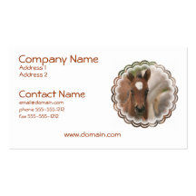 Horse Baby Business Card