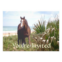 Horse Beach Invitation