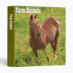 Horse Binder