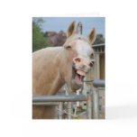Horse Birthday Card