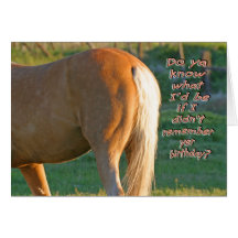Horse Birthday Card