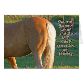Funny Horse Birthday Cards, Photocards, Invitations &amp; More