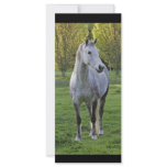 Horse bookmark rack card template