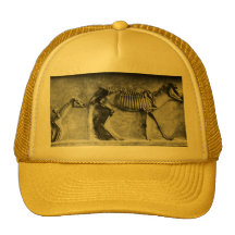 horse breeder hats