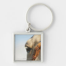 Horse bridle key chains