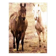 Horse Buddies Sepia Postcard