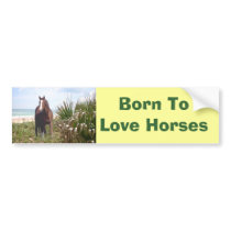 Horse Bumper Sticker Beach