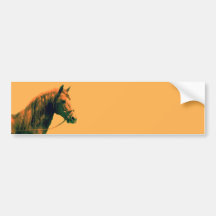 Horse Bumper Stickers