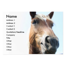 Horse Business Card
