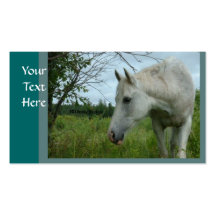 Horse Busininess cards Business Cards